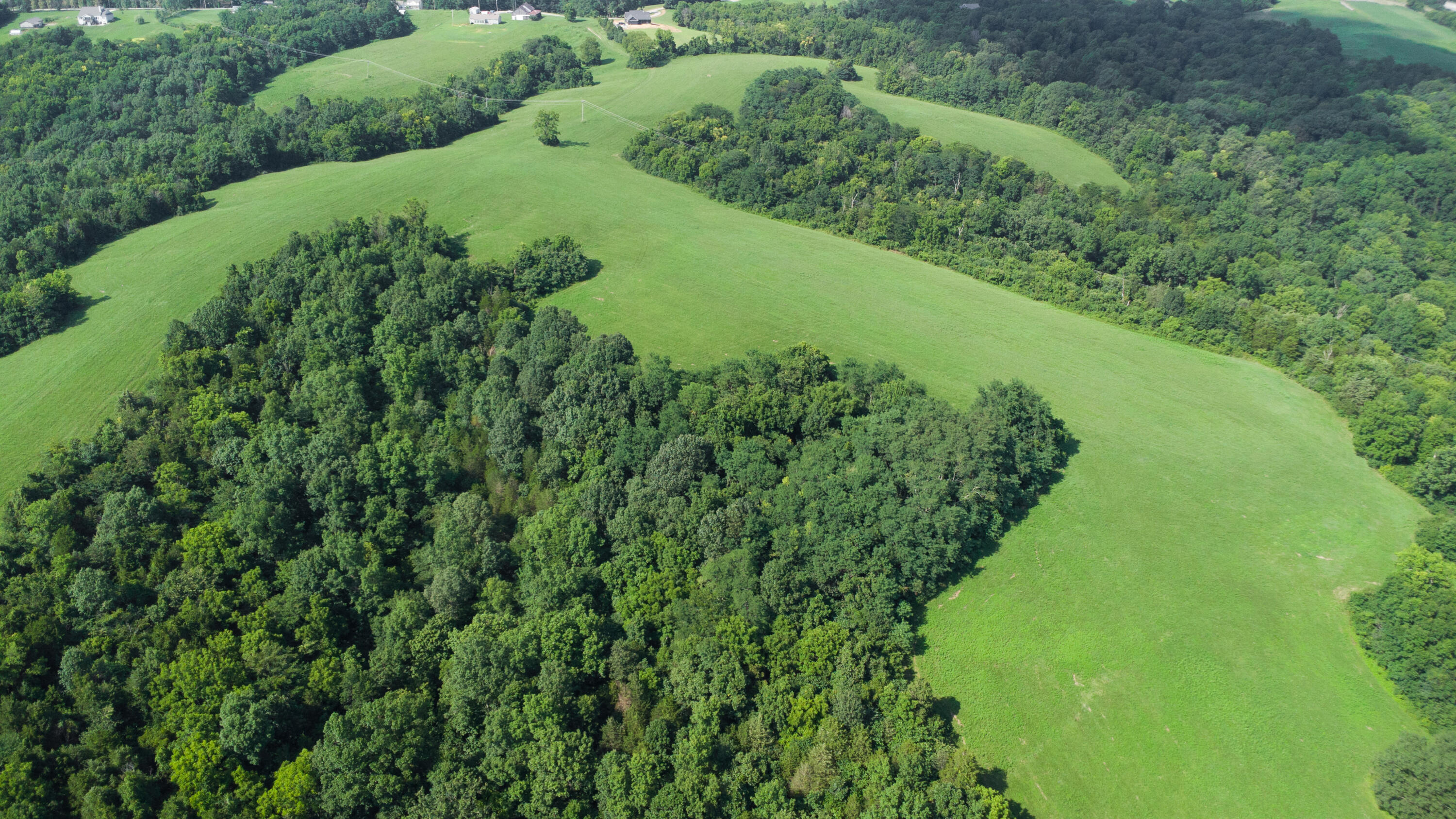 0 Baton Rouge Tract 1 Road Williamstown, KY 41097 - Photo 19 of 25