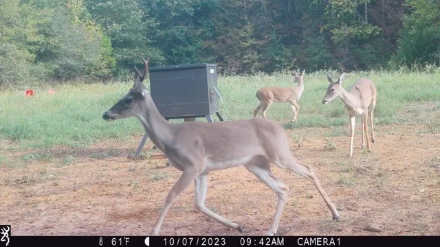 $369,996 | 0 Northwest Fm 1511 Street North, Oakwood, TX 75855