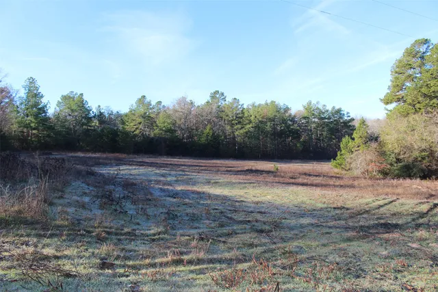 $369,996 | 0 Northwest Fm 1511 Street North, Oakwood, TX 75855