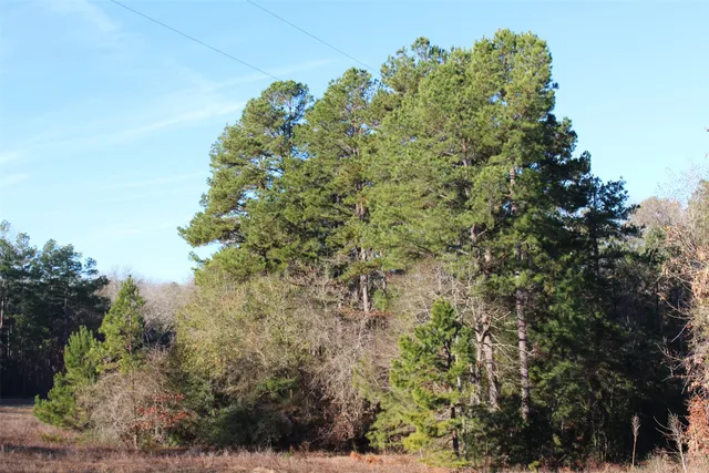 $369,996 | 0 Northwest Fm 1511 Street North, Oakwood, TX 75855