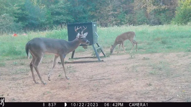 $369,996 | 0 Northwest Fm 1511 Street North, Oakwood, TX 75855