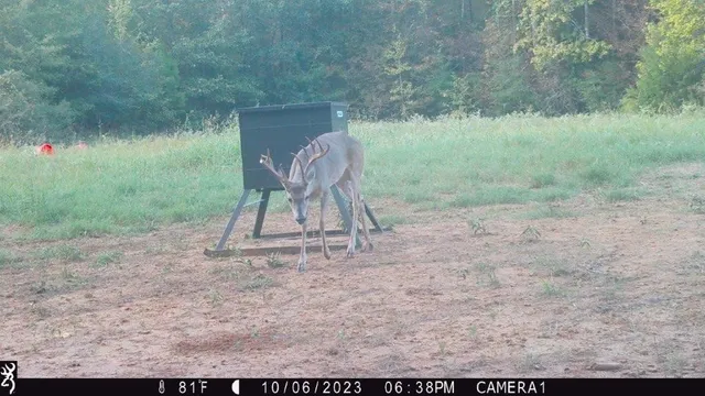 $369,996 | 0 Northwest Fm 1511 Street North, Oakwood, TX 75855