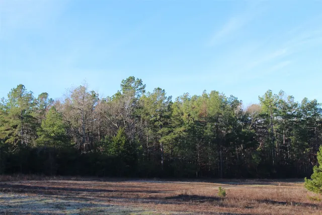 $369,996 | 0 Northwest Fm 1511 Street North, Oakwood, TX 75855