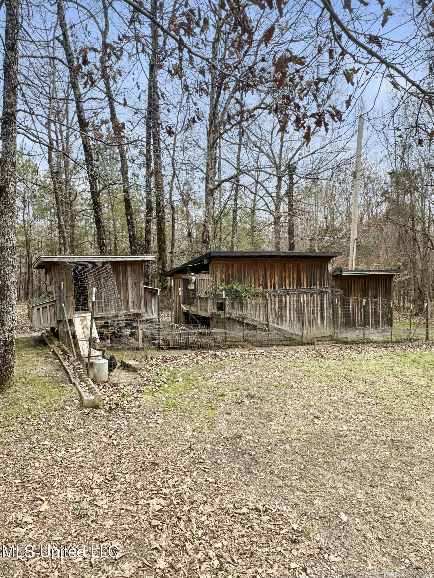444 Gore Springs Road Gore Springs, MS 38929 - Photo 70 of 81 10688-75 444 Gore Springs