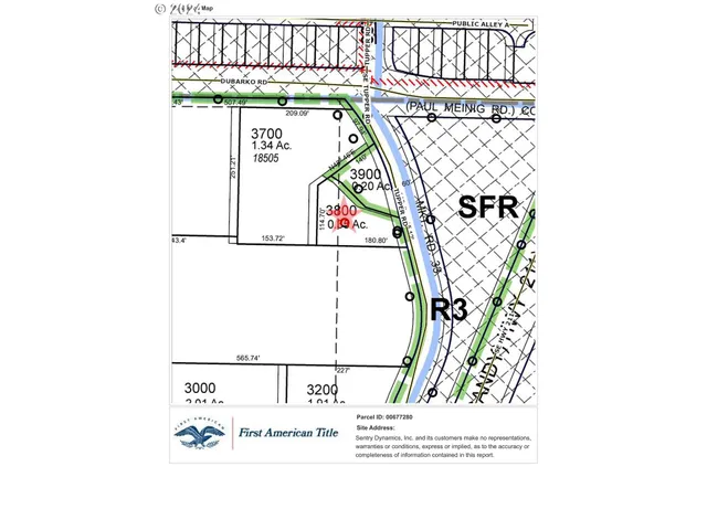 a close up of a tree in a garden