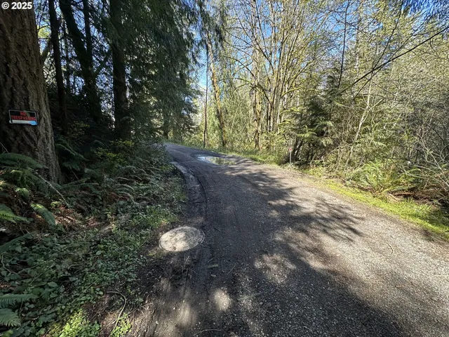 a view of a yard with plants and a tree