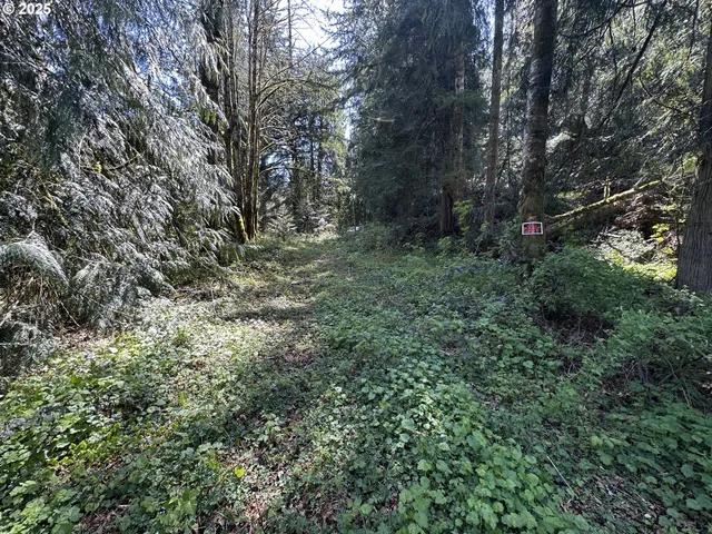 $76,670 | 0 Or-211, Sandy, OR 97055