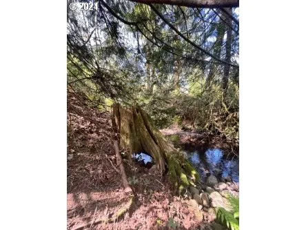 a plant that is in a plant