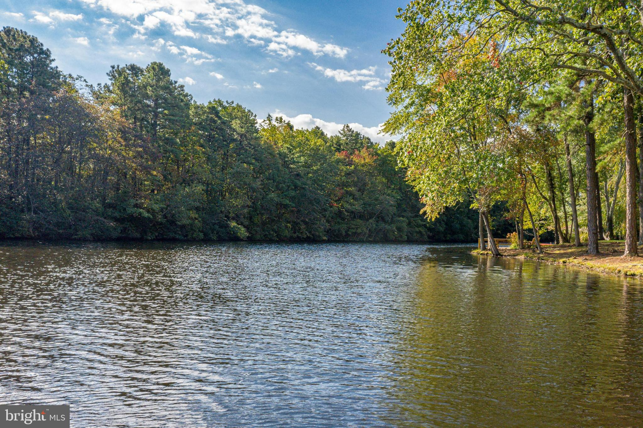 153 Hopewell Road Marlton, NJ 08053 - Photo 59 of 68 a view of pool with trees and yard