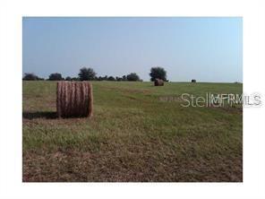 Murphy Road Lake Wales, FL 33859 - Photo 1 of 1 a view of outdoor space