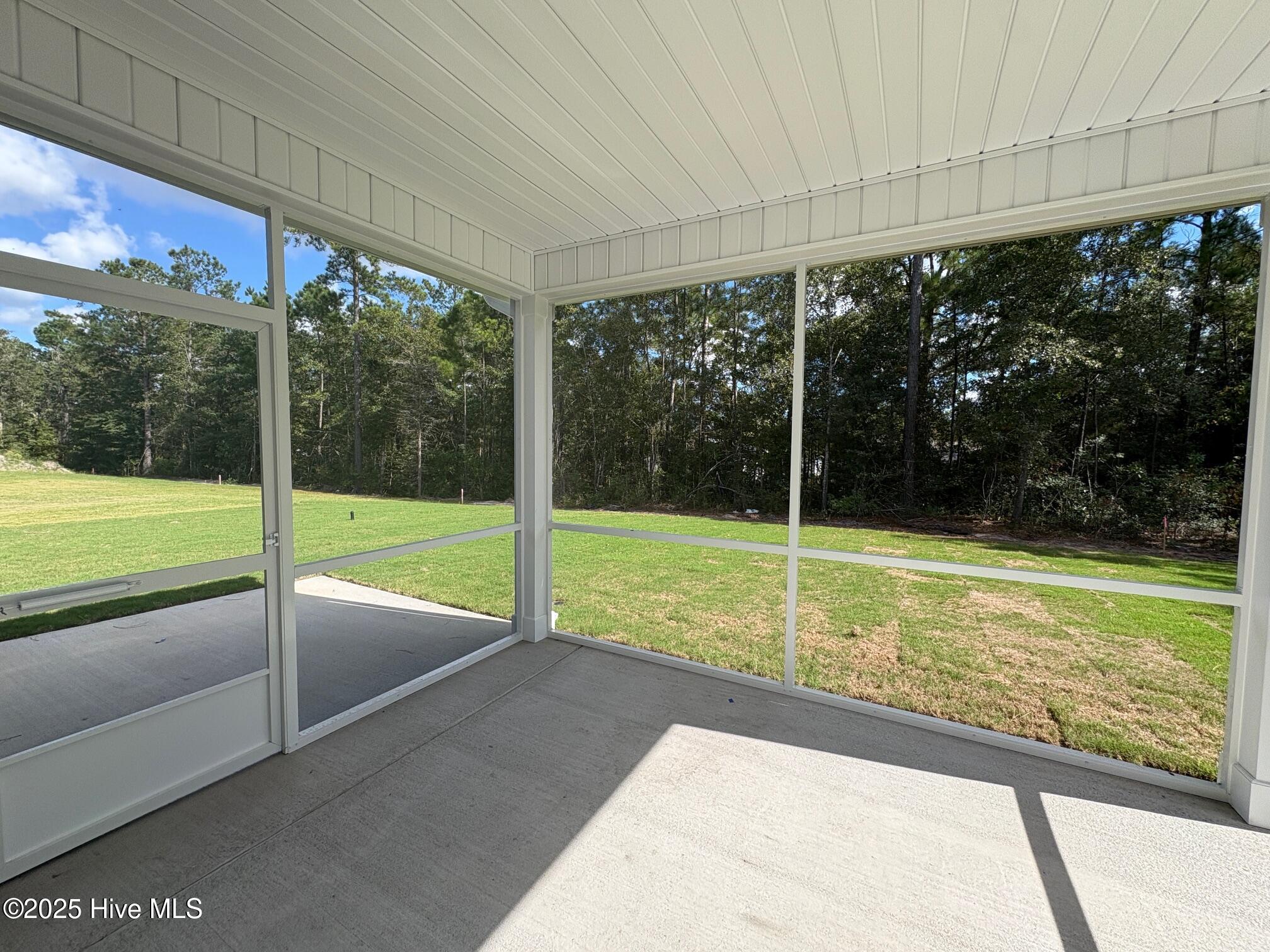 6227 Raystone Way Leland, NC 28451 - Photo 16 of 40 Actual view of this backyard and home.