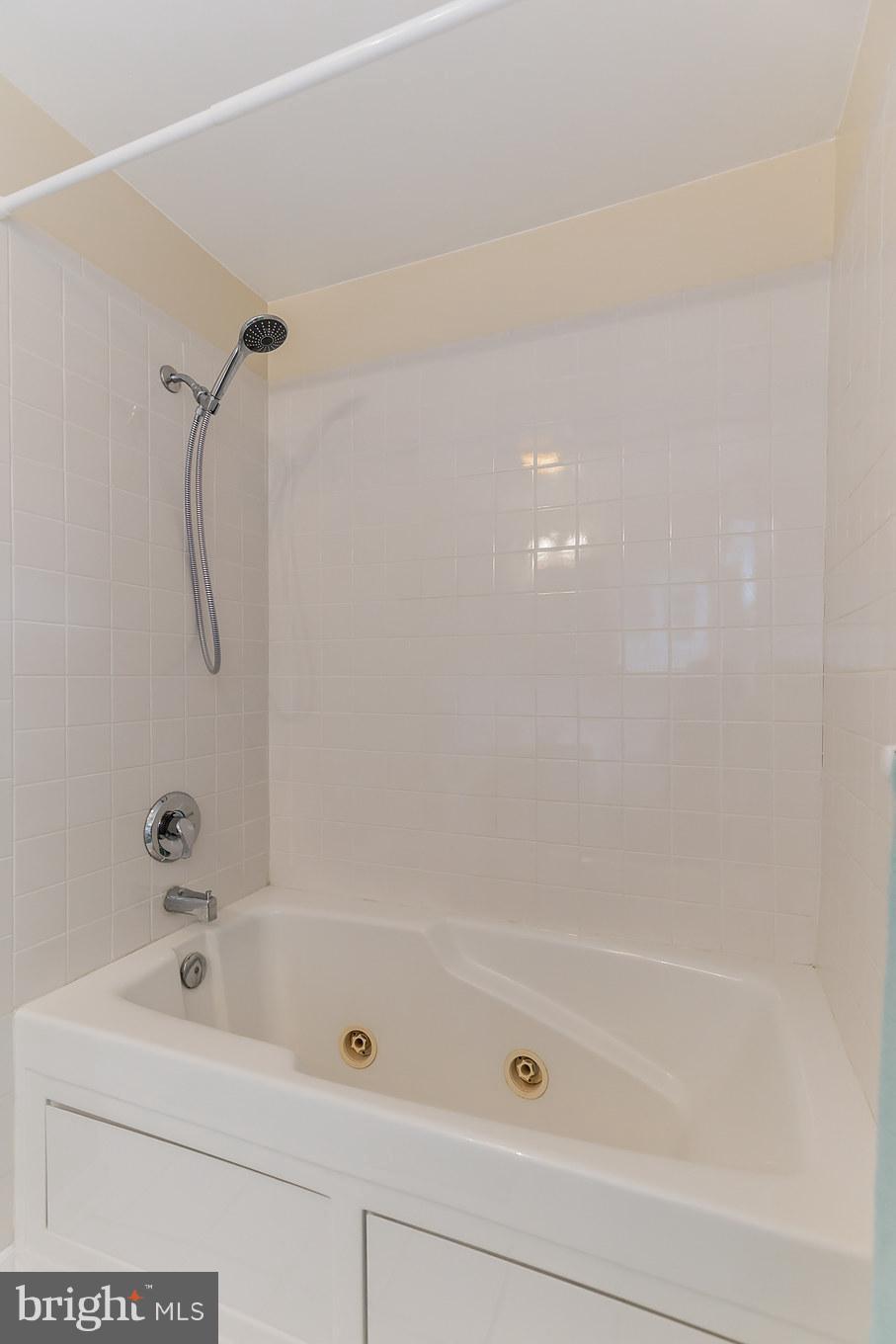 5875 Bayside Road St. Leonard, MD 20685 - Photo 17 of 29 Bathroom 2 whirlpool tub - main level