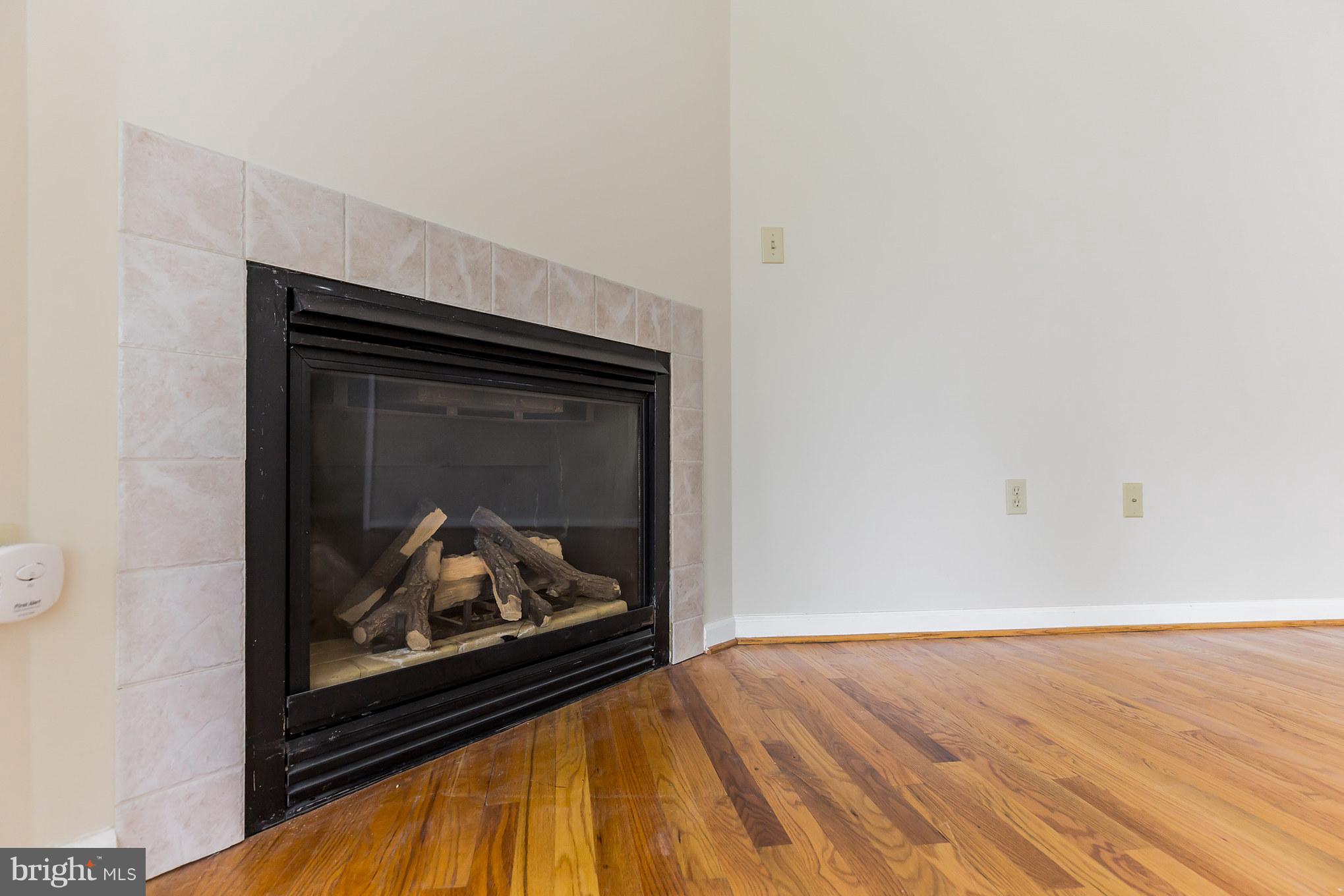 5875 Bayside Road St. Leonard, MD 20685 - Photo 5 of 29 Living Room Gas Fireplace