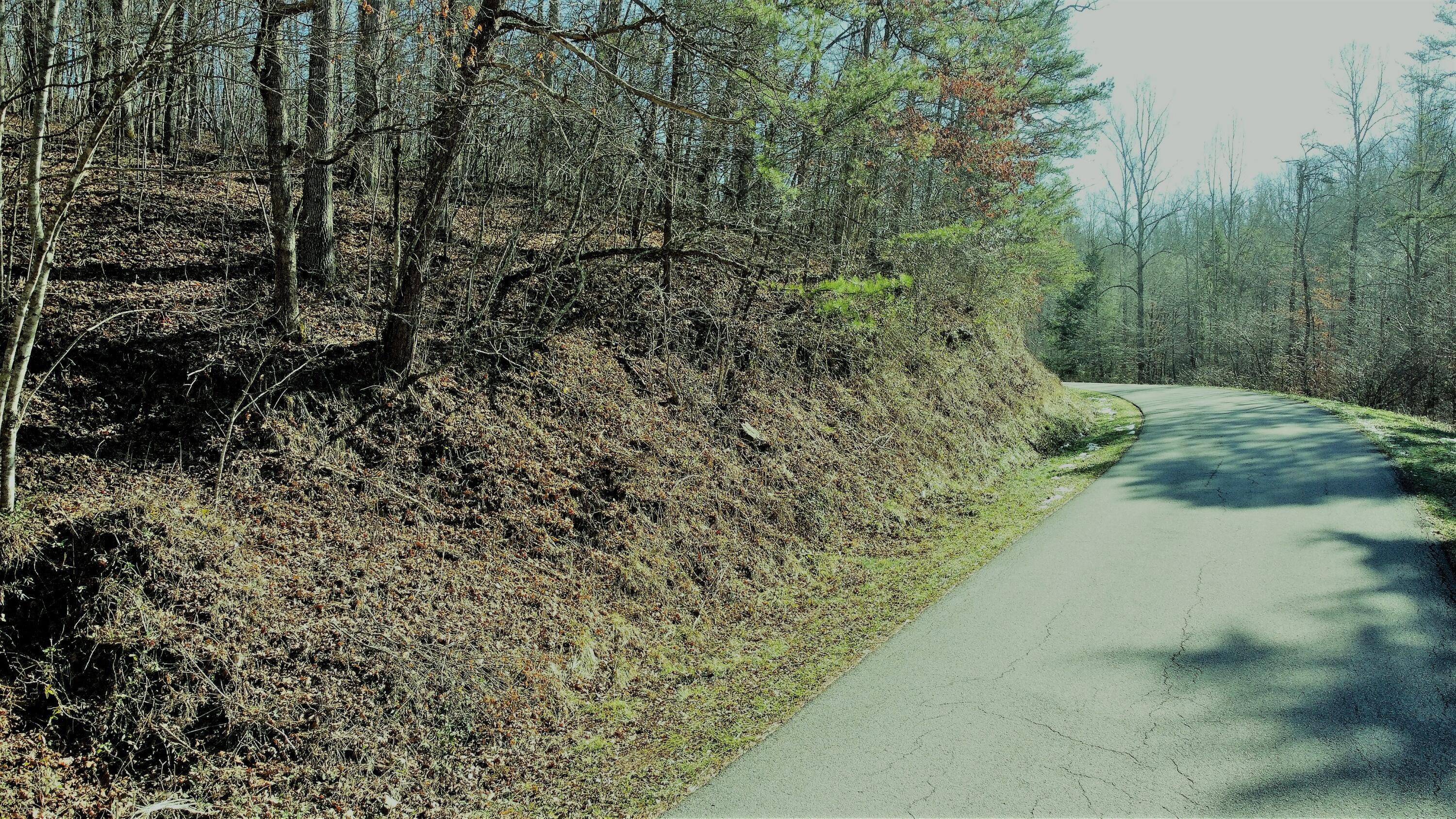999 Slate Lick Road London, KY 40741 - Photo 10 of 14 DJI_0425