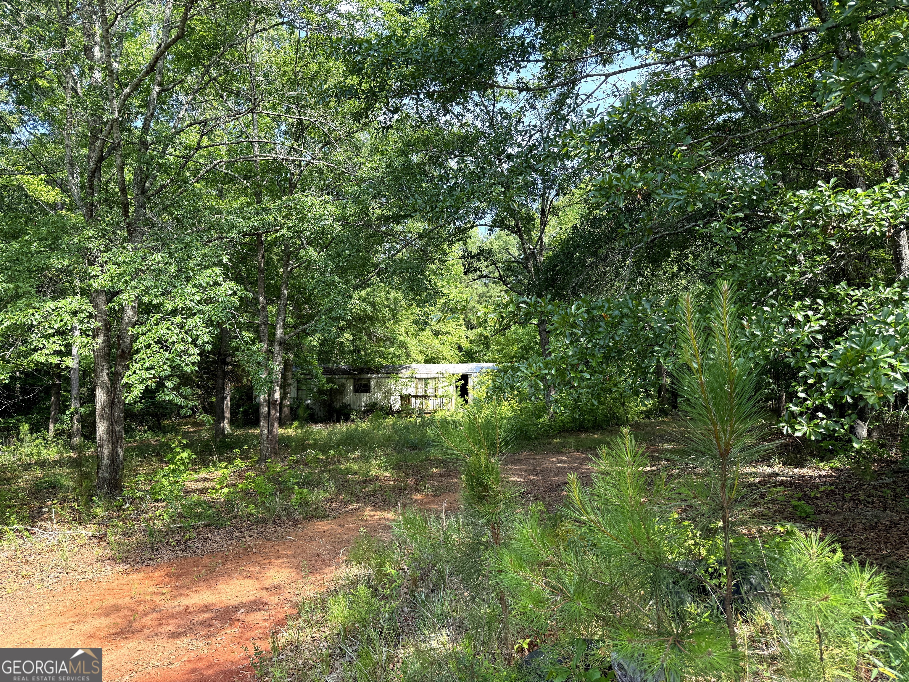 2391 Chalybeate Road Manchester, GA 31816 - Photo 4 of 15 a view of a back yard