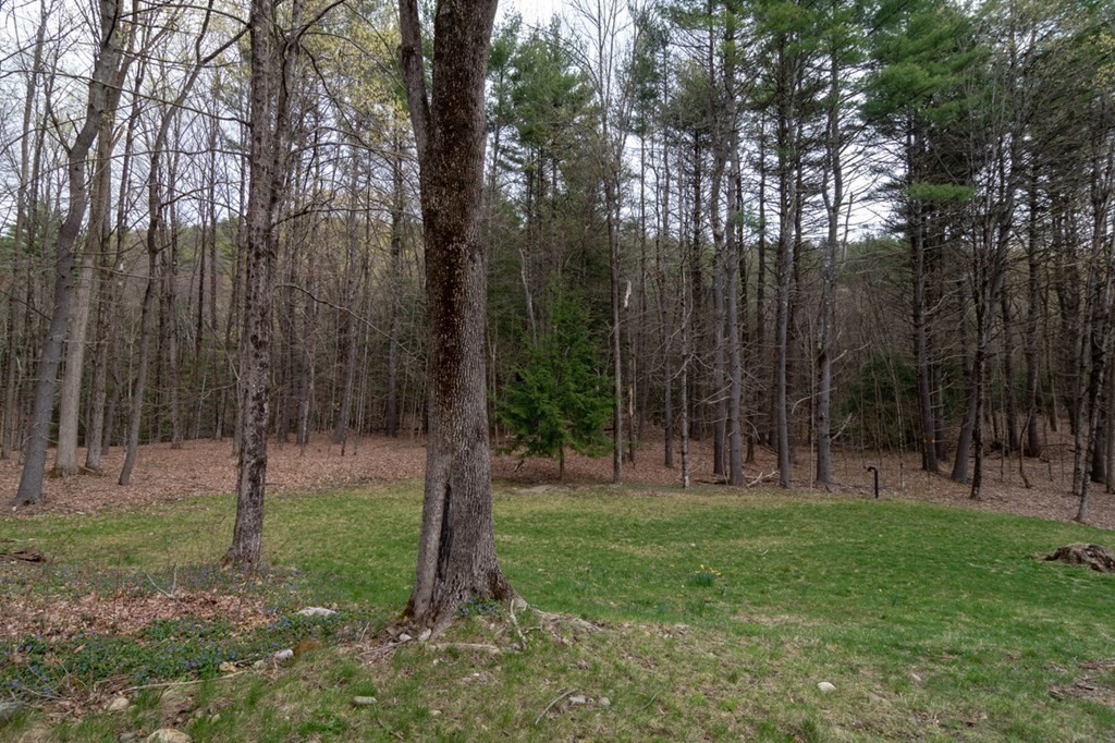 335 Long Plain Road Leverett, MA 01054 - Photo 5 of 41