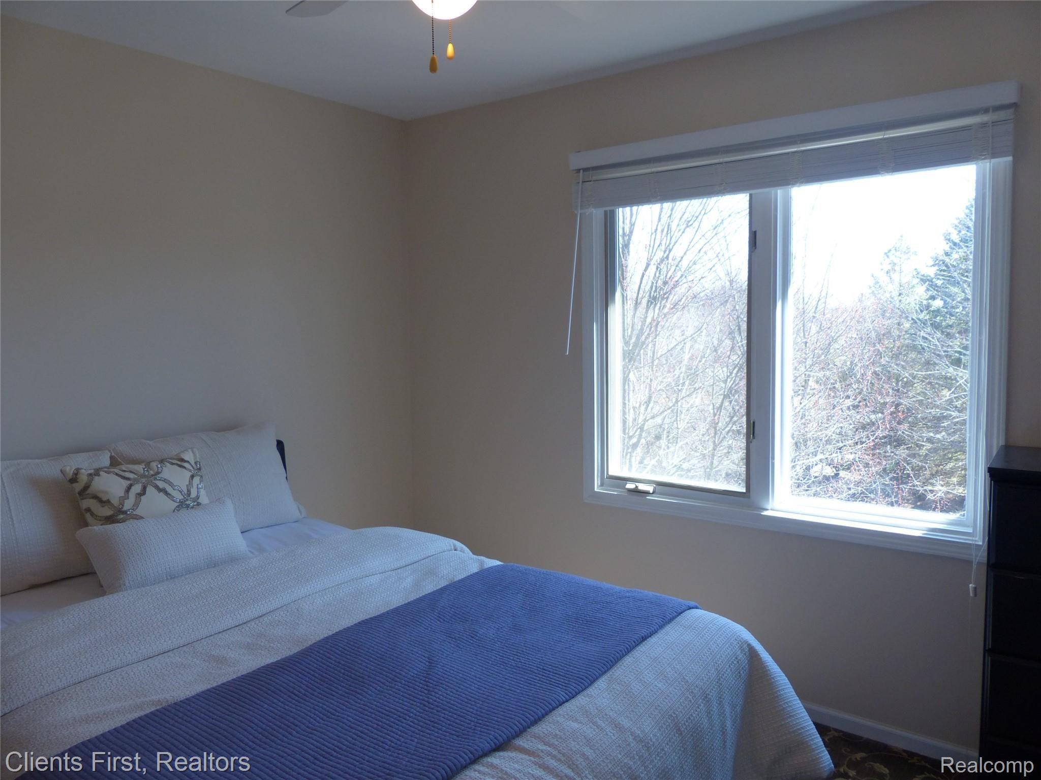 574 Seabrook Drive Rochester, MI 48307 - Photo 43 of 66 P1060408.JPG