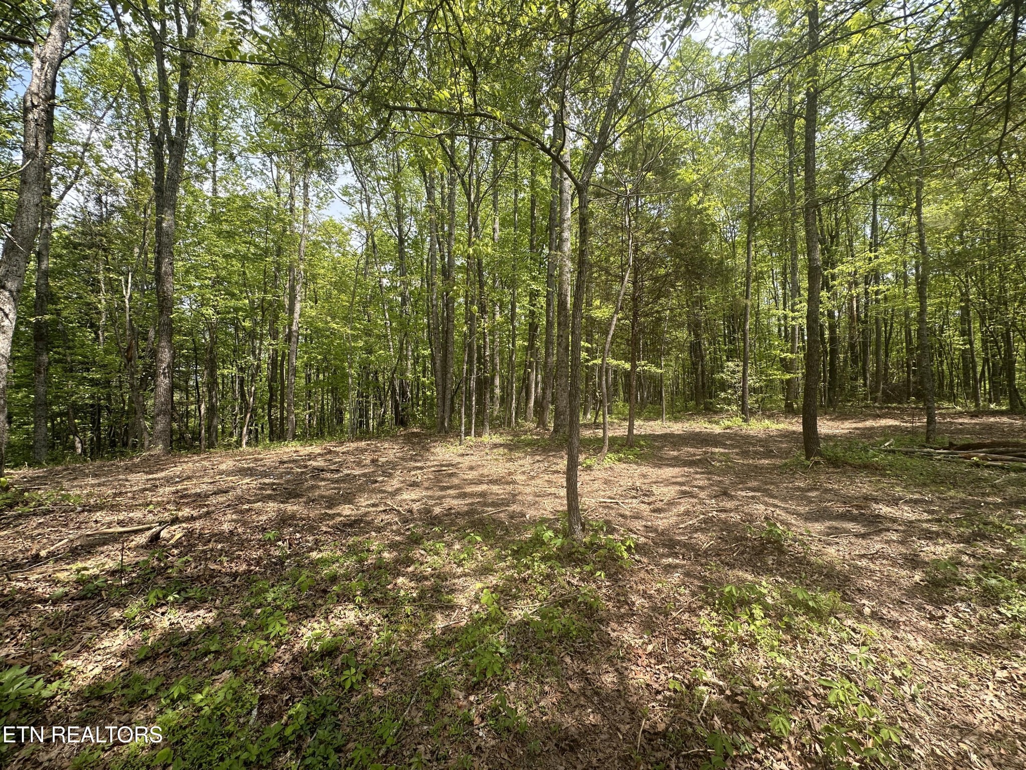 50 Oloff Smith Road Allardt, TN 38504 - Photo 1 of 8 Gallery Image 1