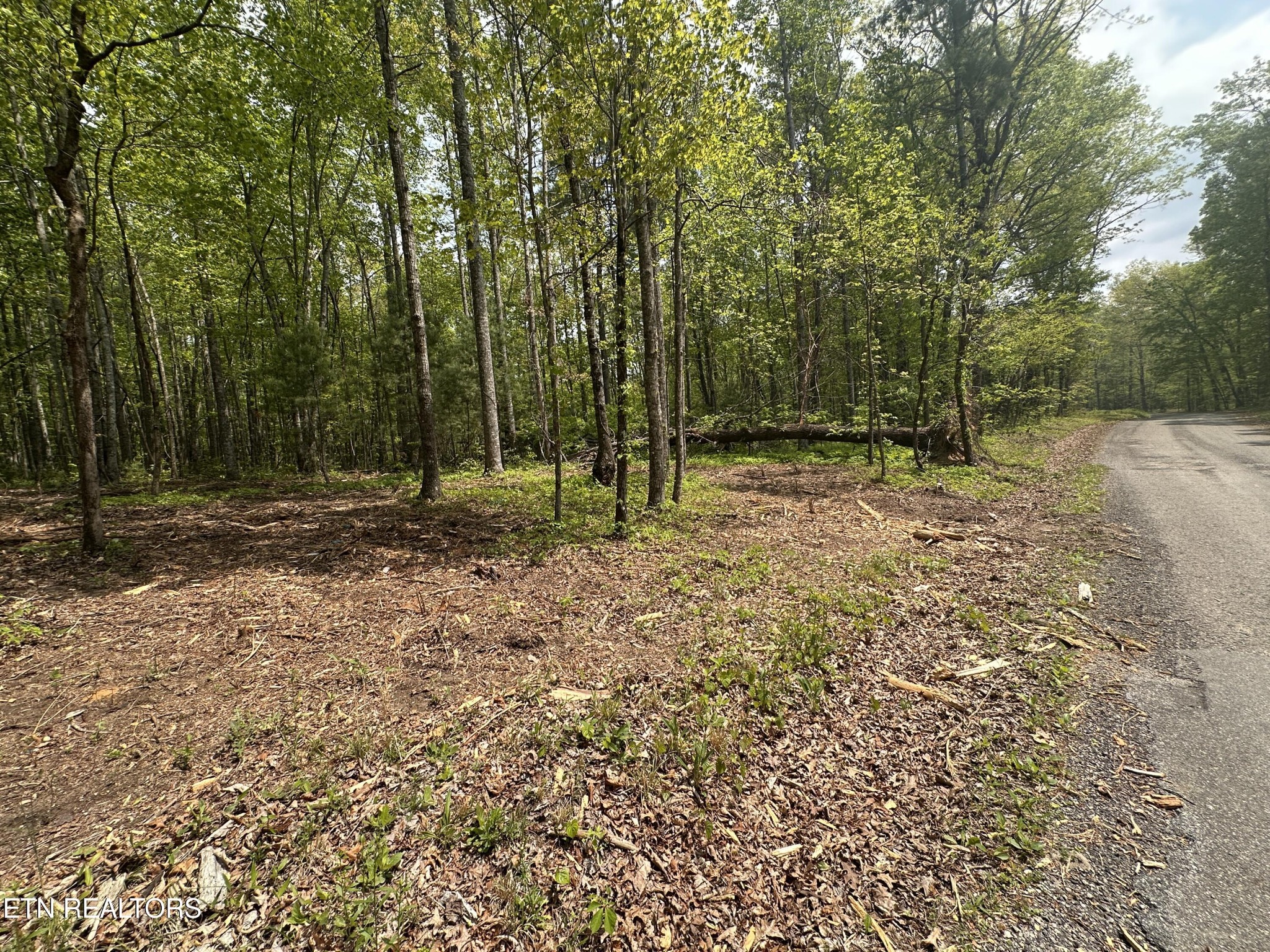 50 Oloff Smith Road Allardt, TN 38504 - Photo 4 of 8 Gallery Image 4
