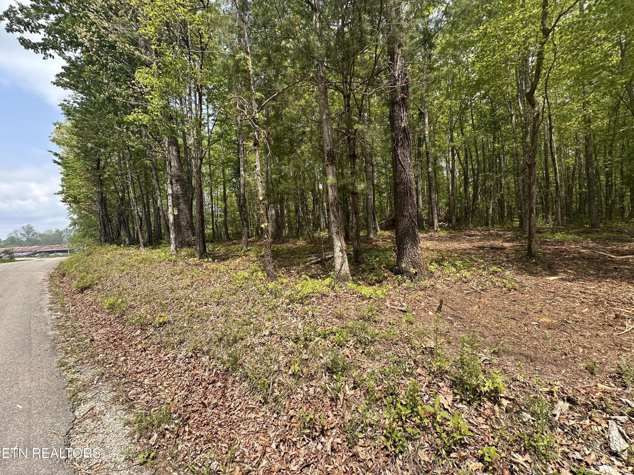 50 Oloff Smith Road Allardt, TN 38504 - Photo 5 of 8 Gallery Image 5