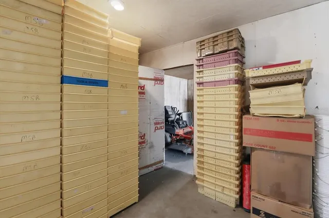 a view of backyard with large tree