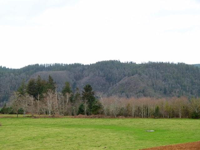 Tl#1009 Bel Air Road Cloverdale, OR 97112 - Photo 13 of 20 P1080386
