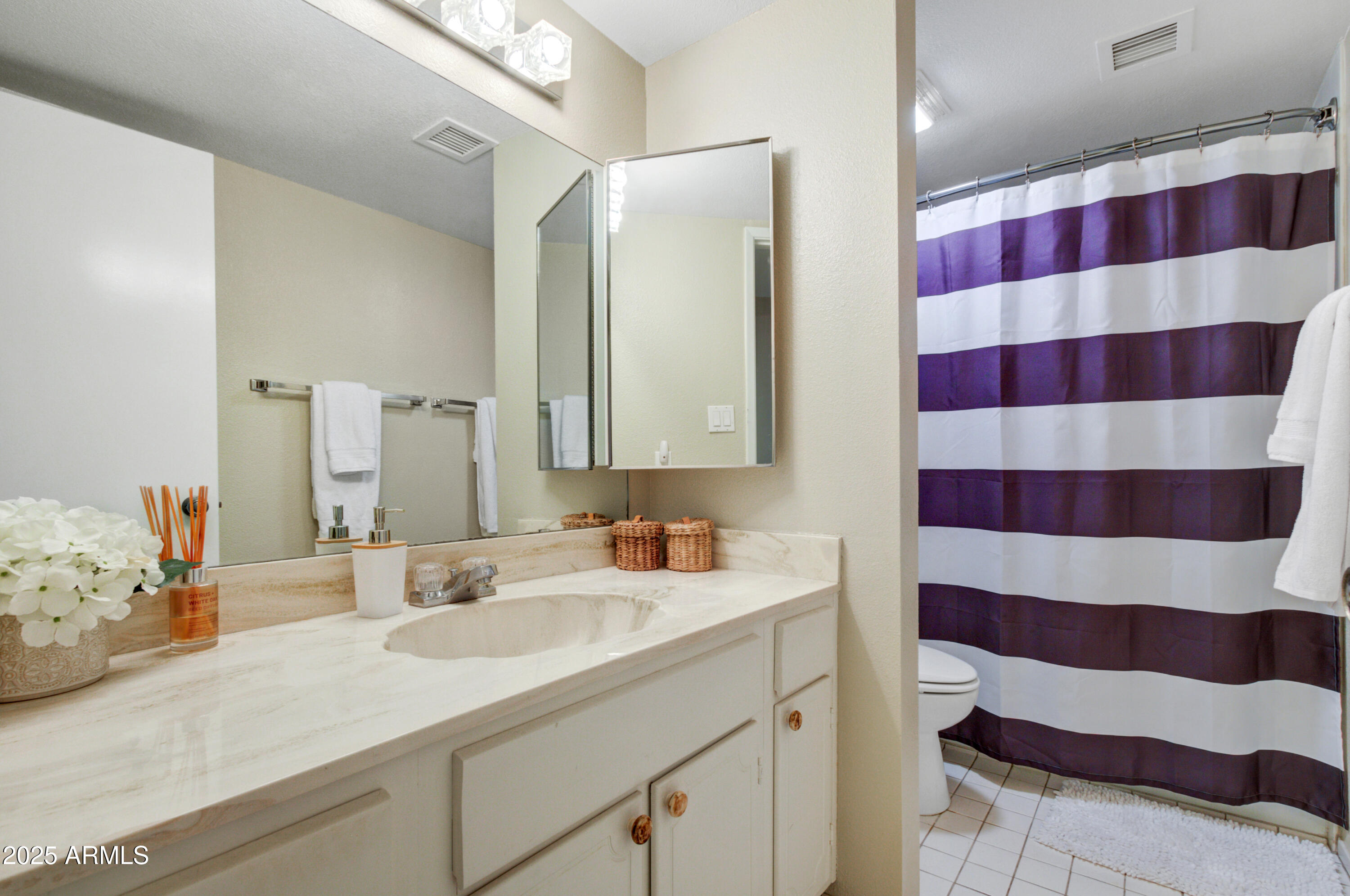 25828 North Primo Circle Rio Verde, AZ 85263 - Photo 11 of 21 a bathroom with a sink and a mirror