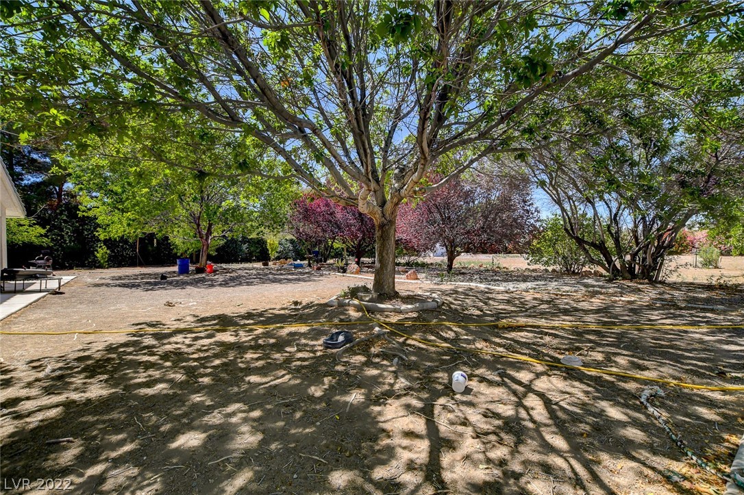 950 West Calvada Boulevard Pahrump, NV 89048 - Photo 32 of 33