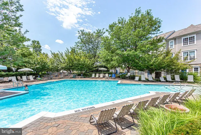a view of a park with plants and trees