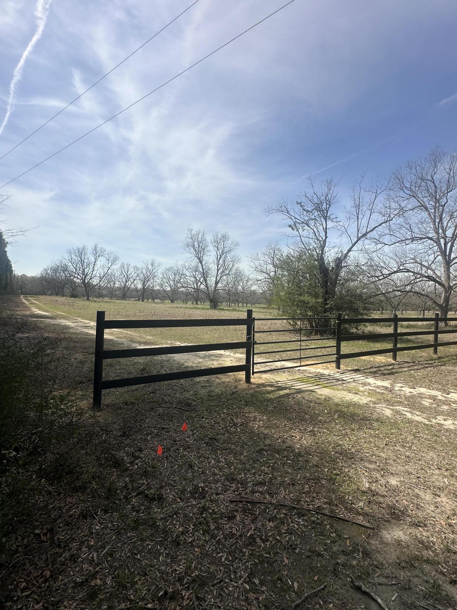 1259 Spanish Moss Road Blackville, SC 29817 - Photo 3 of 12