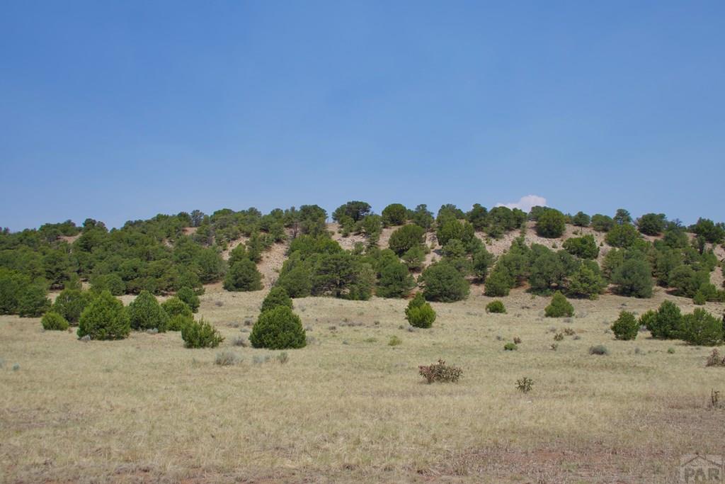 Unit #4 Unit Road Walsenburg, CO 81089 - Photo 13 of 36