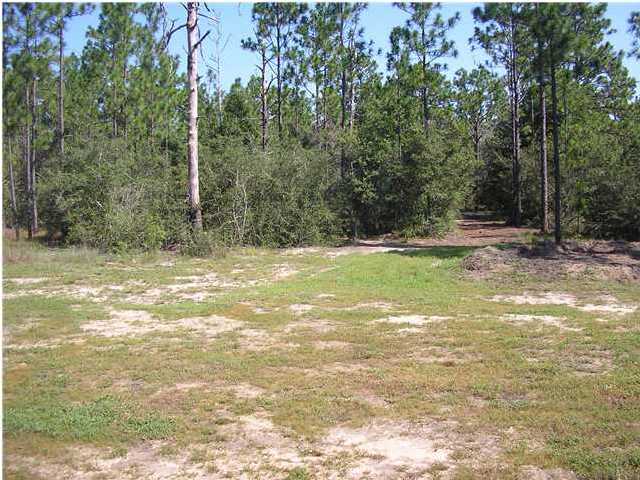 4493 Rainbird Rise Road Crestview, FL 32539 - Photo 25 of 27 a view of a yard with a tree