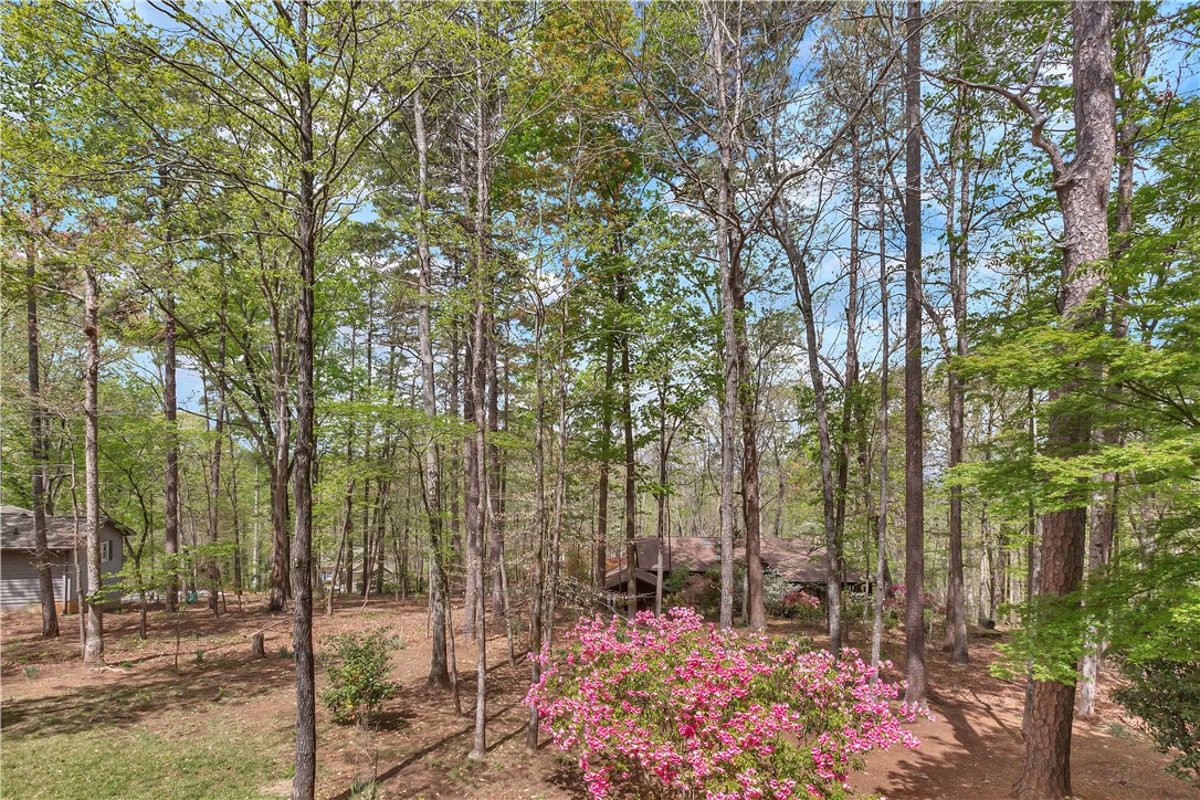 3 Anchorage Lane Salem, SC 29676 - Photo 24 of 50