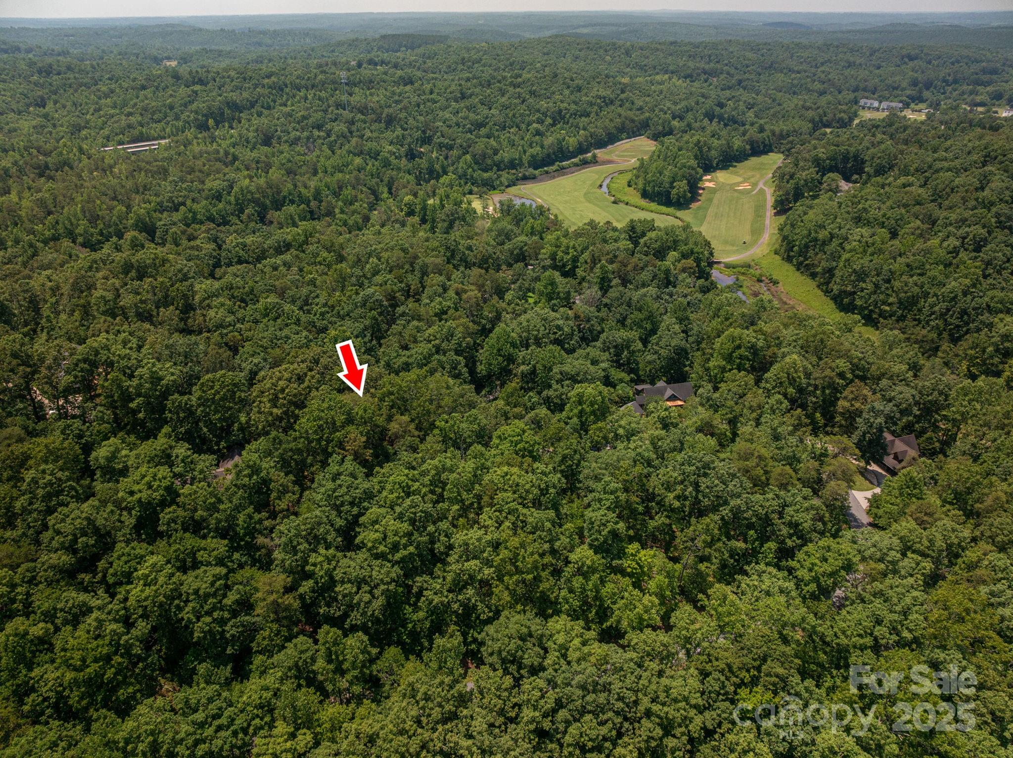 Lot #38 Moss Drive Rutherfordton, NC 28139 - Photo 5 of 24 an aerial view of residential house with outdoor space and trees all around
