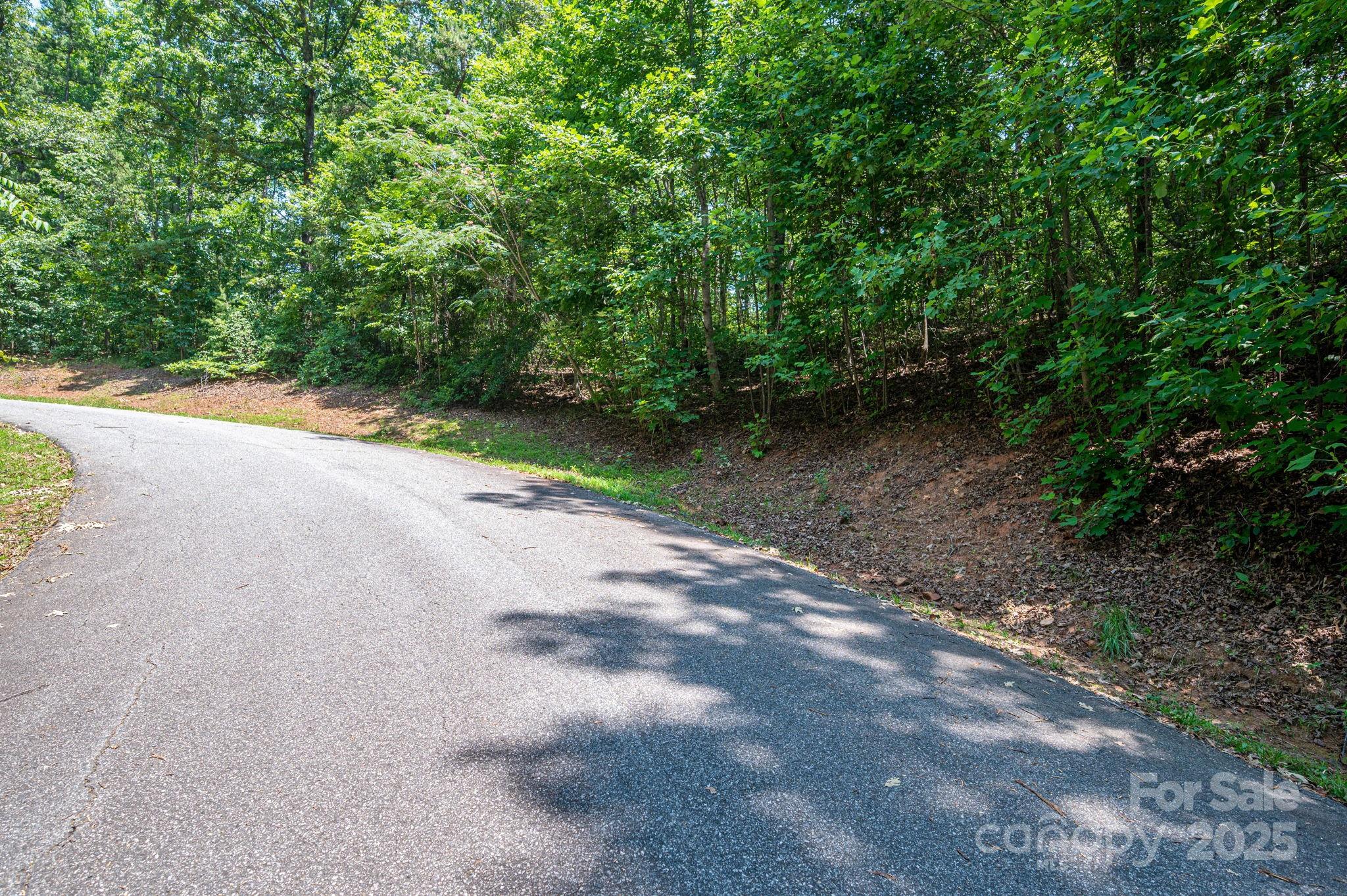 Lot #38 Moss Drive Rutherfordton, NC 28139 - Photo 9 of 24 a view of a street view