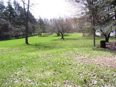 331 Jonesville Road Coldwater, MI 49036 - Photo 1 of 1 Primary Photo