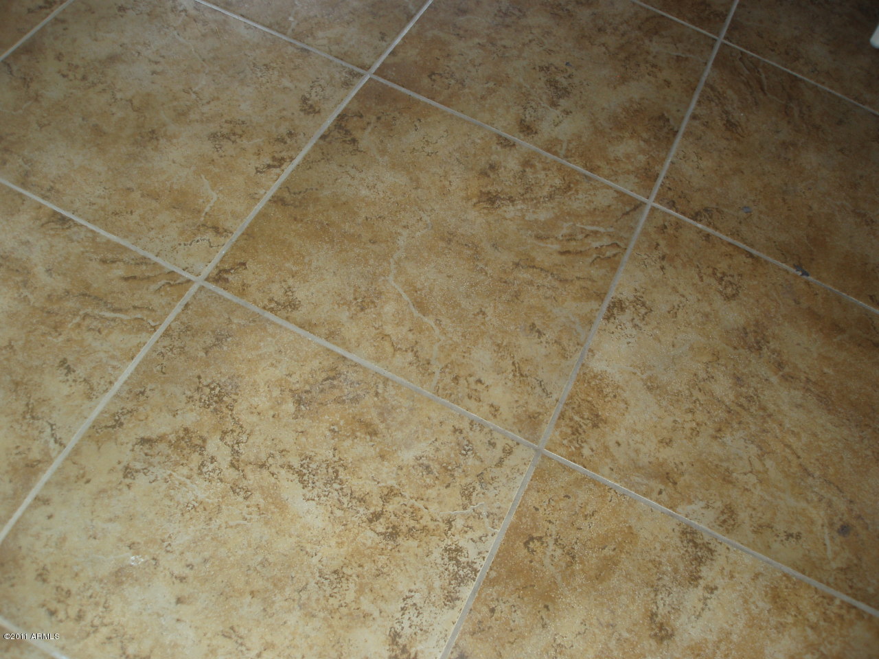5444 West Red Bird Road Phoenix, AZ 85083 - Photo 6 of 12 Tiled Floor