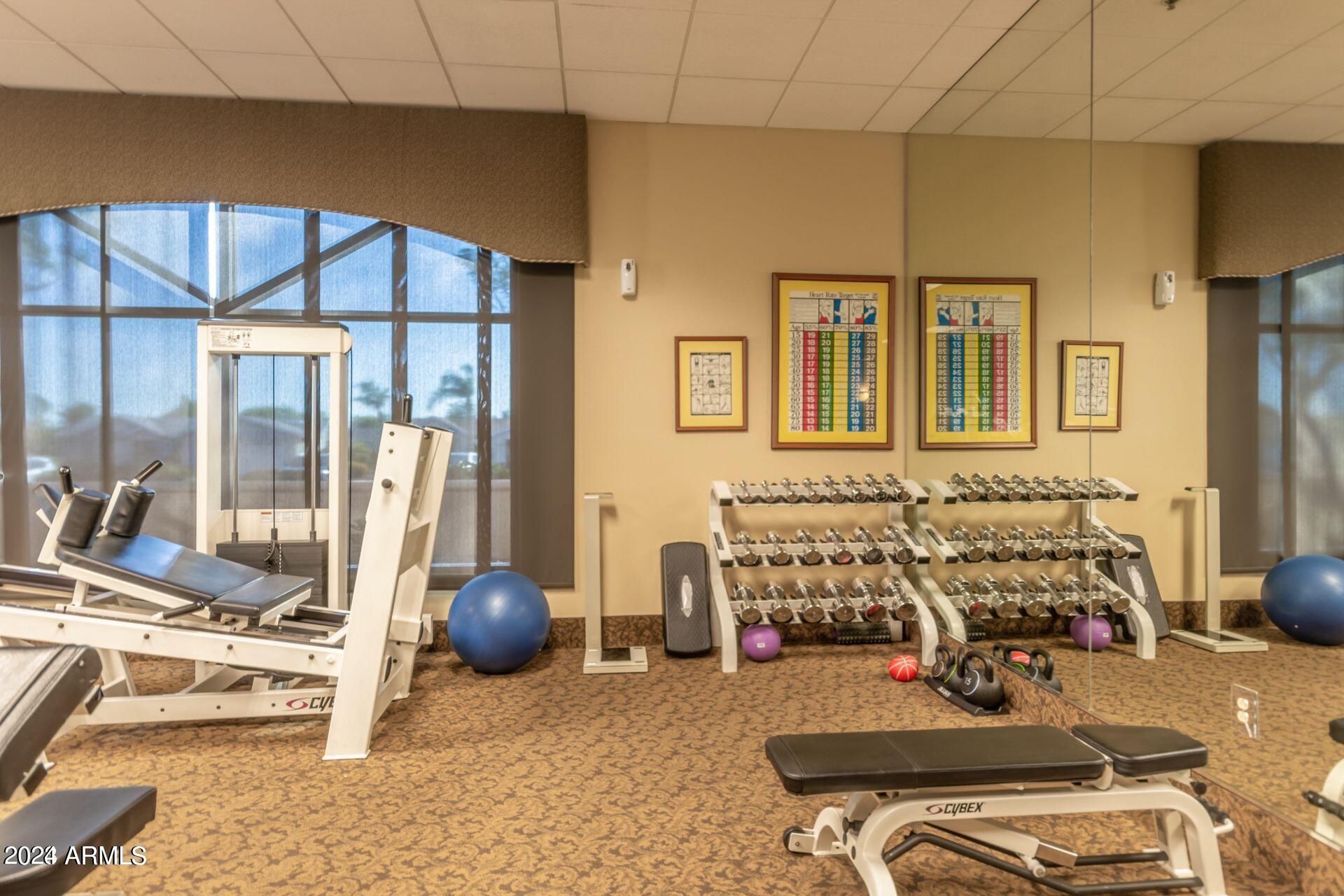 2550 South Ellsworth Road, Unit 664 Mesa, AZ 85209 - Photo 42 of 44 Community Gym