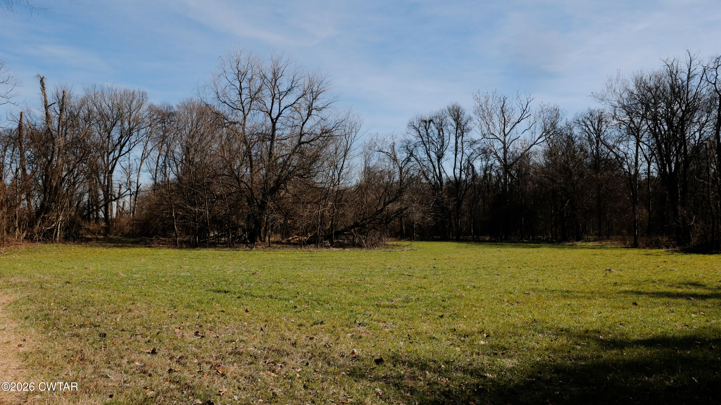 0 Island 26 Ms River Ripley, TN 38063 - Photo 13 of 29 a view of a field with trees in the background