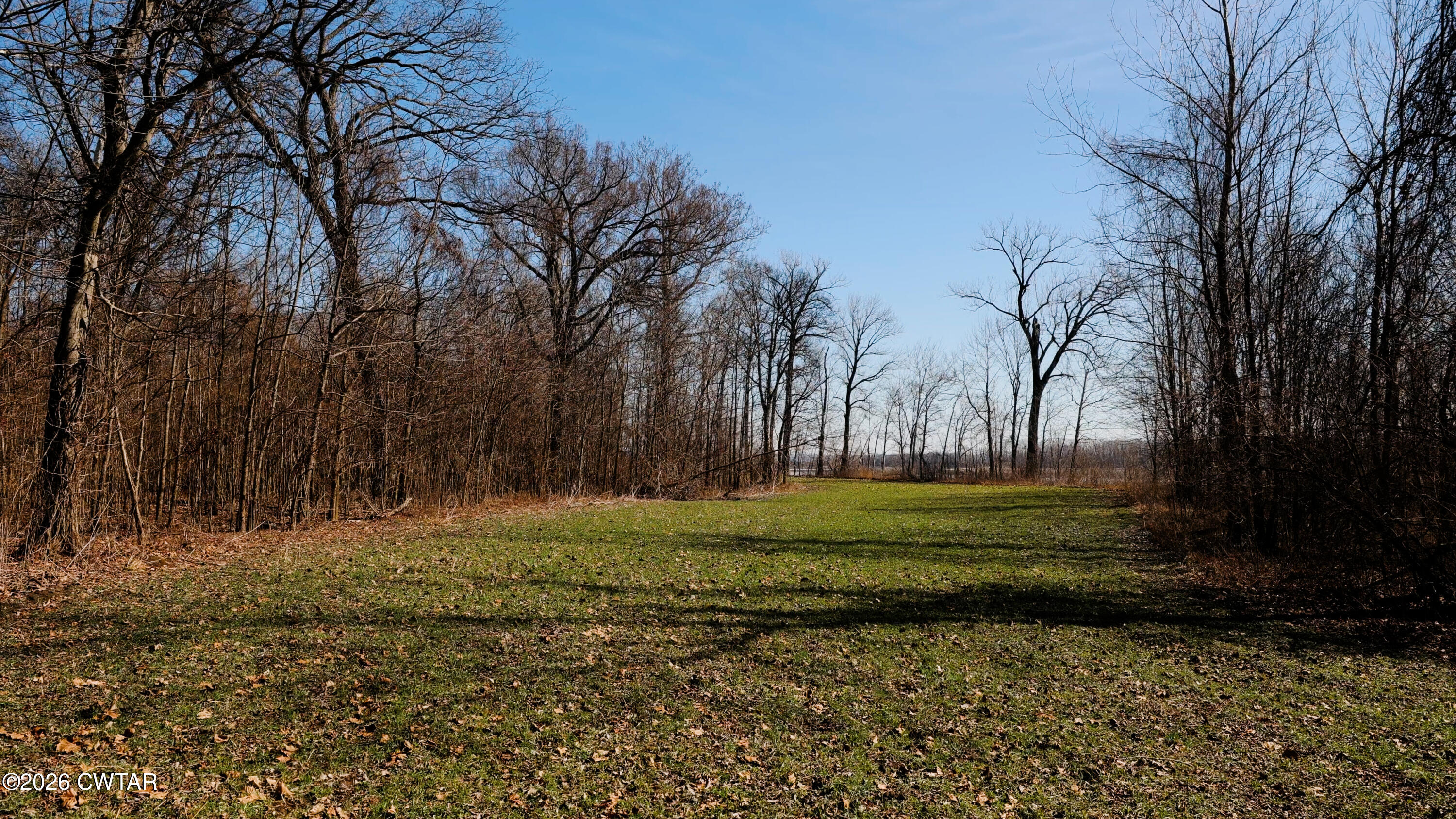 0 Island 26 Ms River Ripley, TN 38063 - Photo 18 of 29 a yard with trees in the background