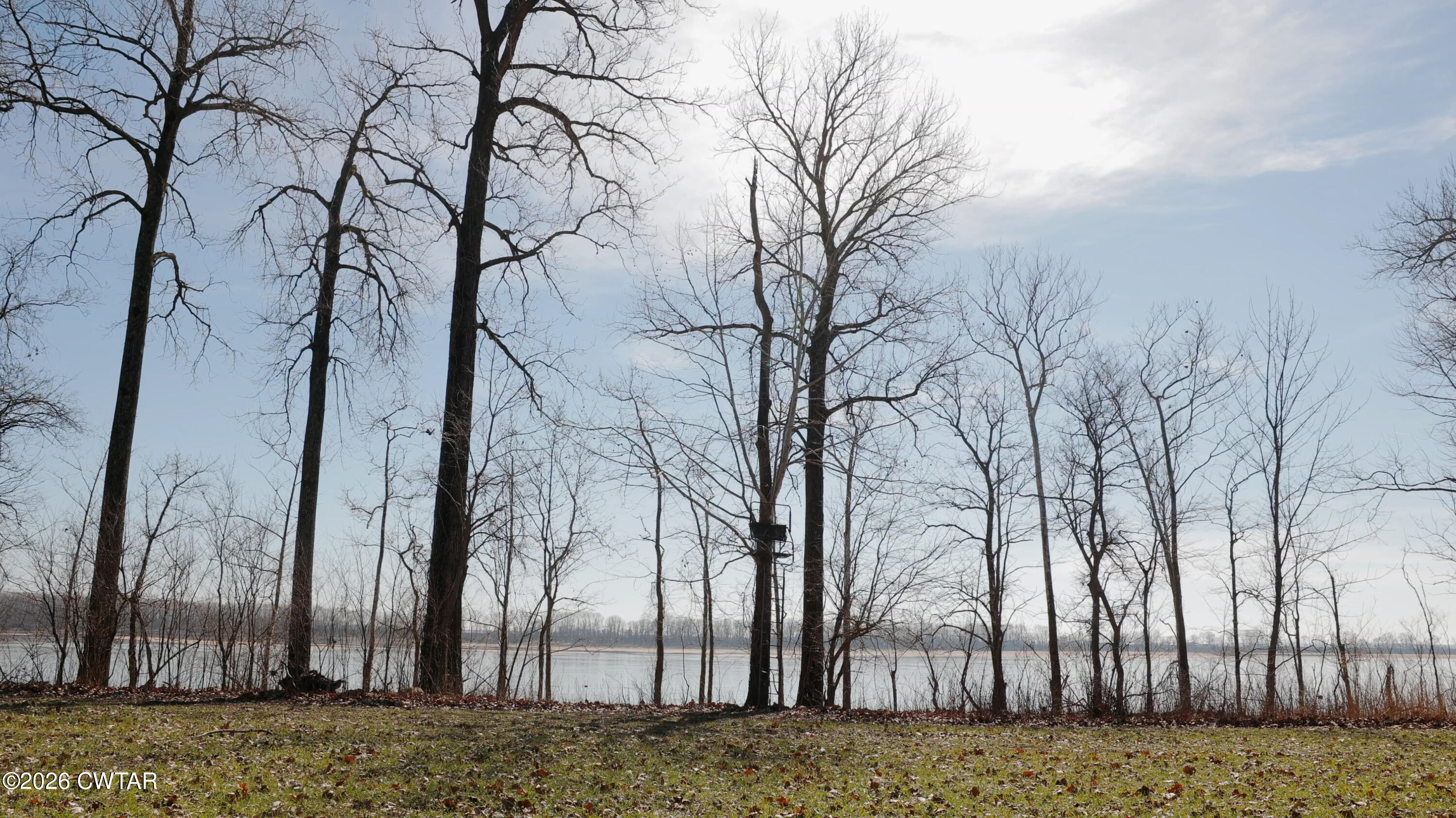 0 Island 26 Ms River Ripley, TN 38063 - Photo 20 of 29 a view of a backyard of the house