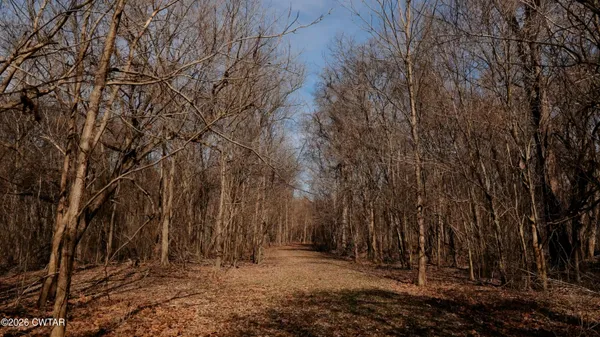 $4,900,000 | 0 Island 26 Ms River, Ripley, TN 38063