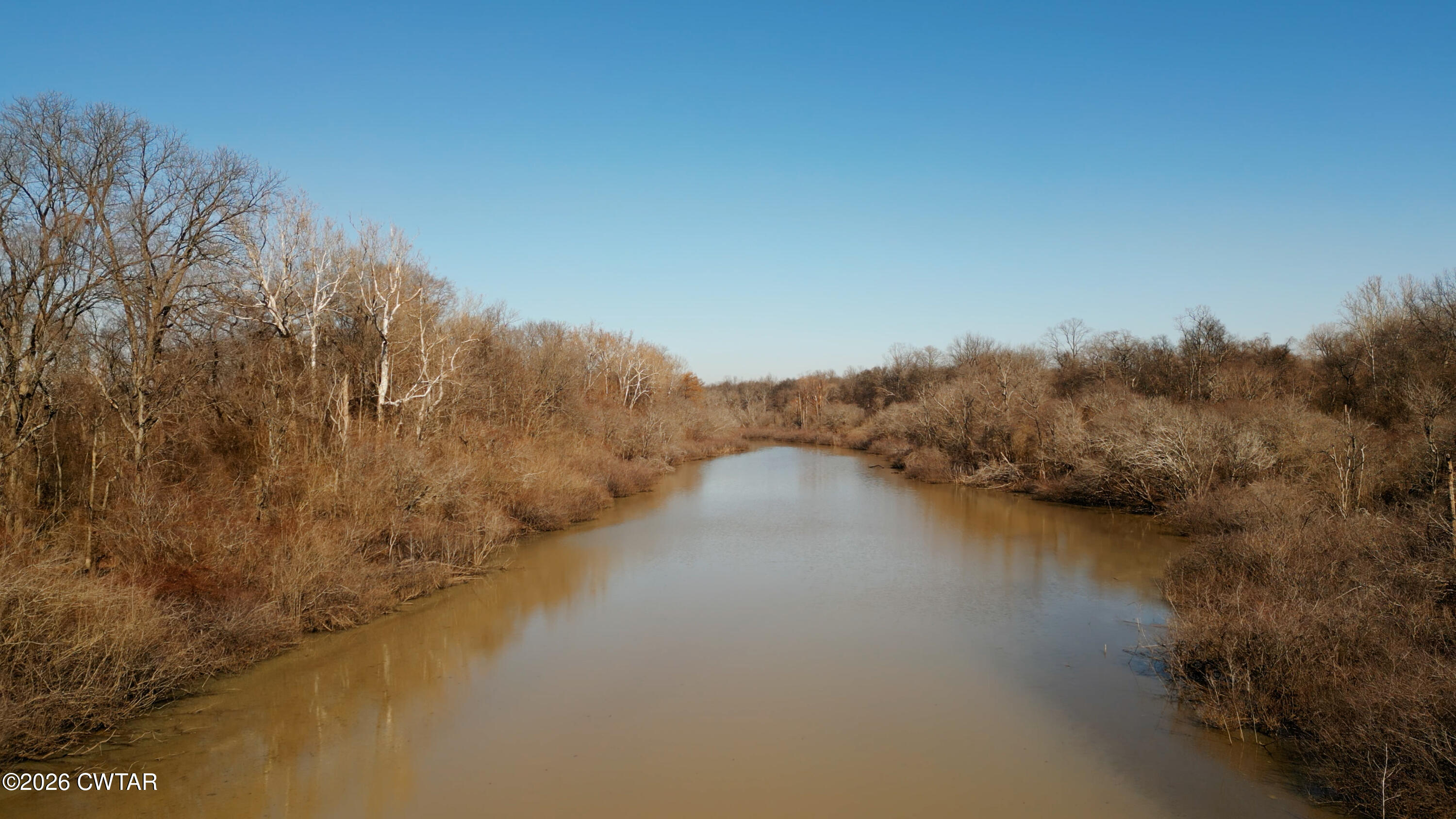 0 Island 26 Ms River Ripley, TN 38063 - Photo 25 of 29 a view of a lake in middle of forest