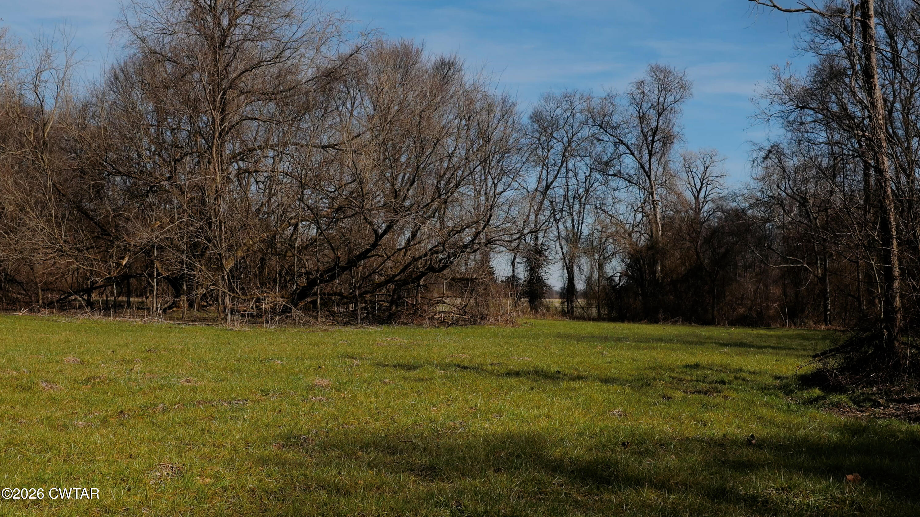 0 Island 26 Ms River Ripley, TN 38063 - Photo 26 of 29 a view of a trees in a yard