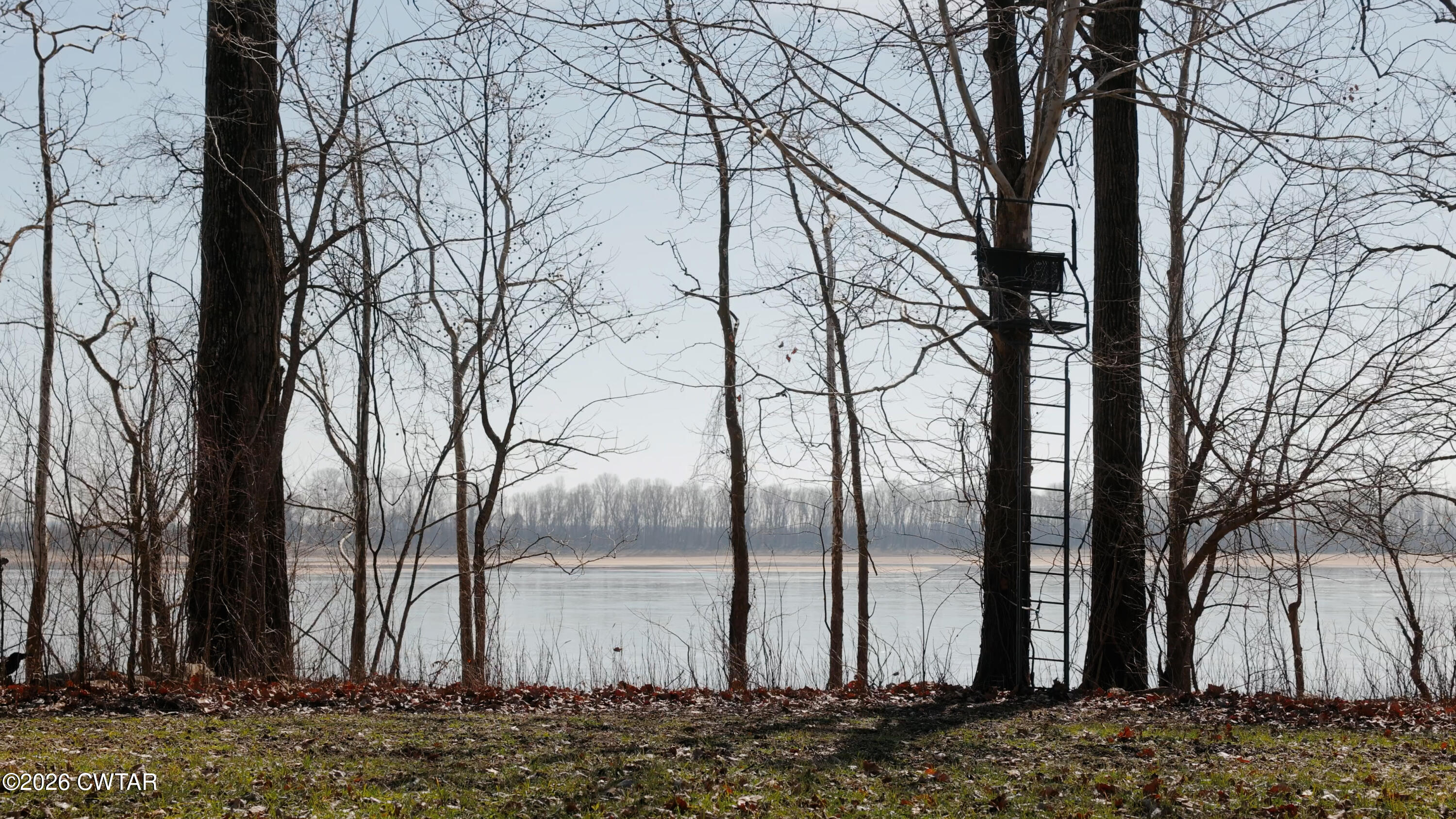 0 Island 26 Ms River Ripley, TN 38063 - Photo 28 of 29 a backyard of a house with trees