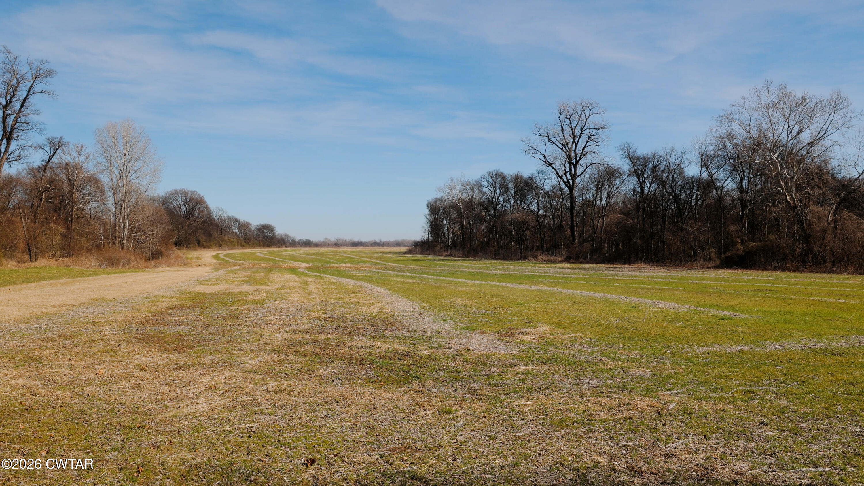 0 Island 26 Ms River Ripley, TN 38063 - Photo 29 of 29 a view of an ocean and trees