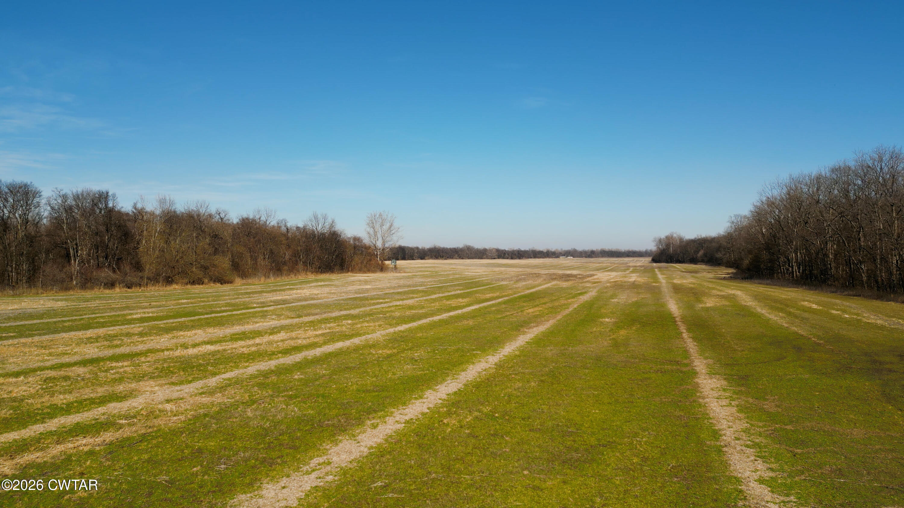 0 Island 26 Ms River Ripley, TN 38063 - Photo 6 of 29 a view of a swimming pool and an outdoor space