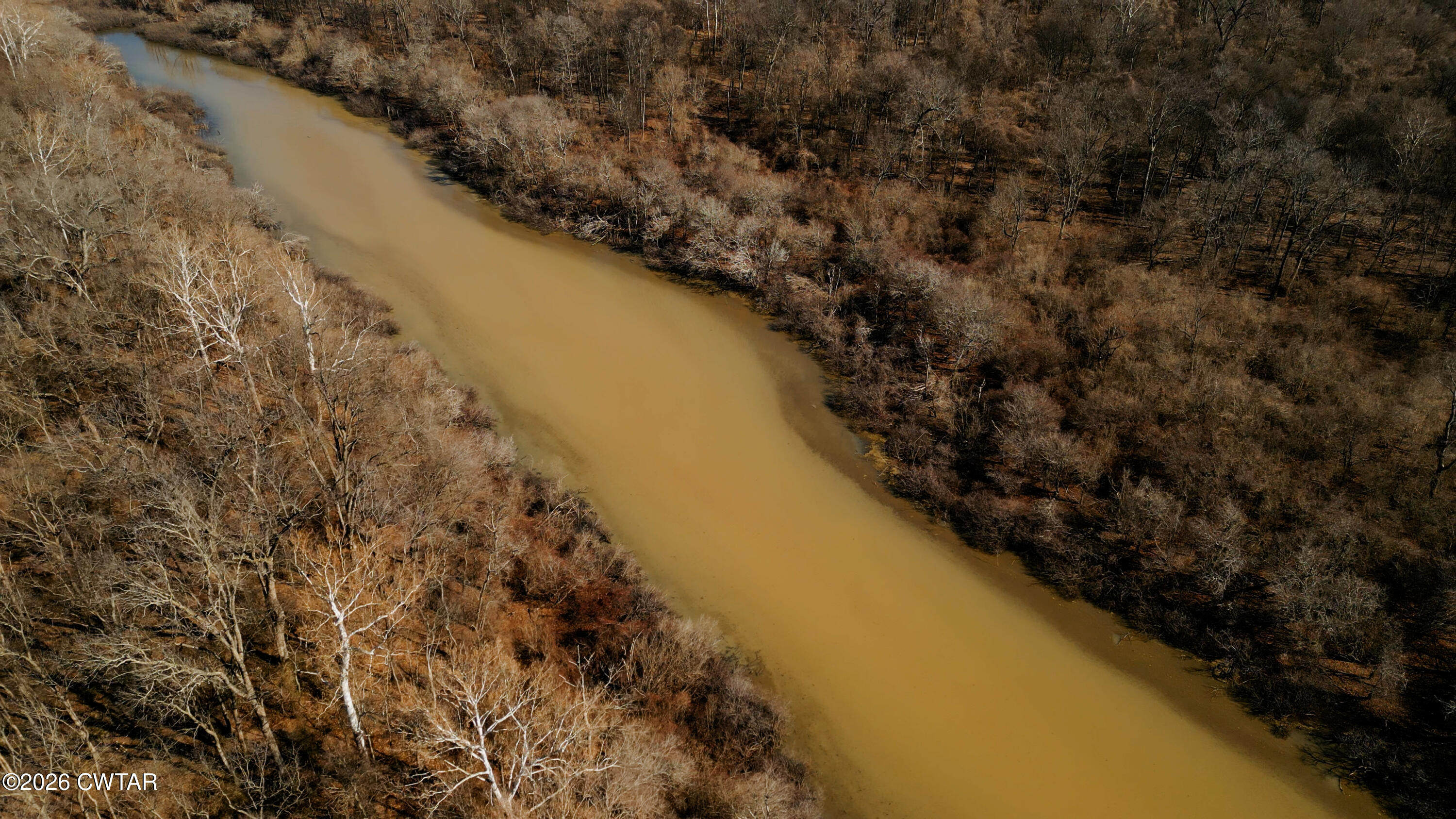 0 Island 26 Ms River Ripley, TN 38063 - Photo 7 of 29 IMG_0776