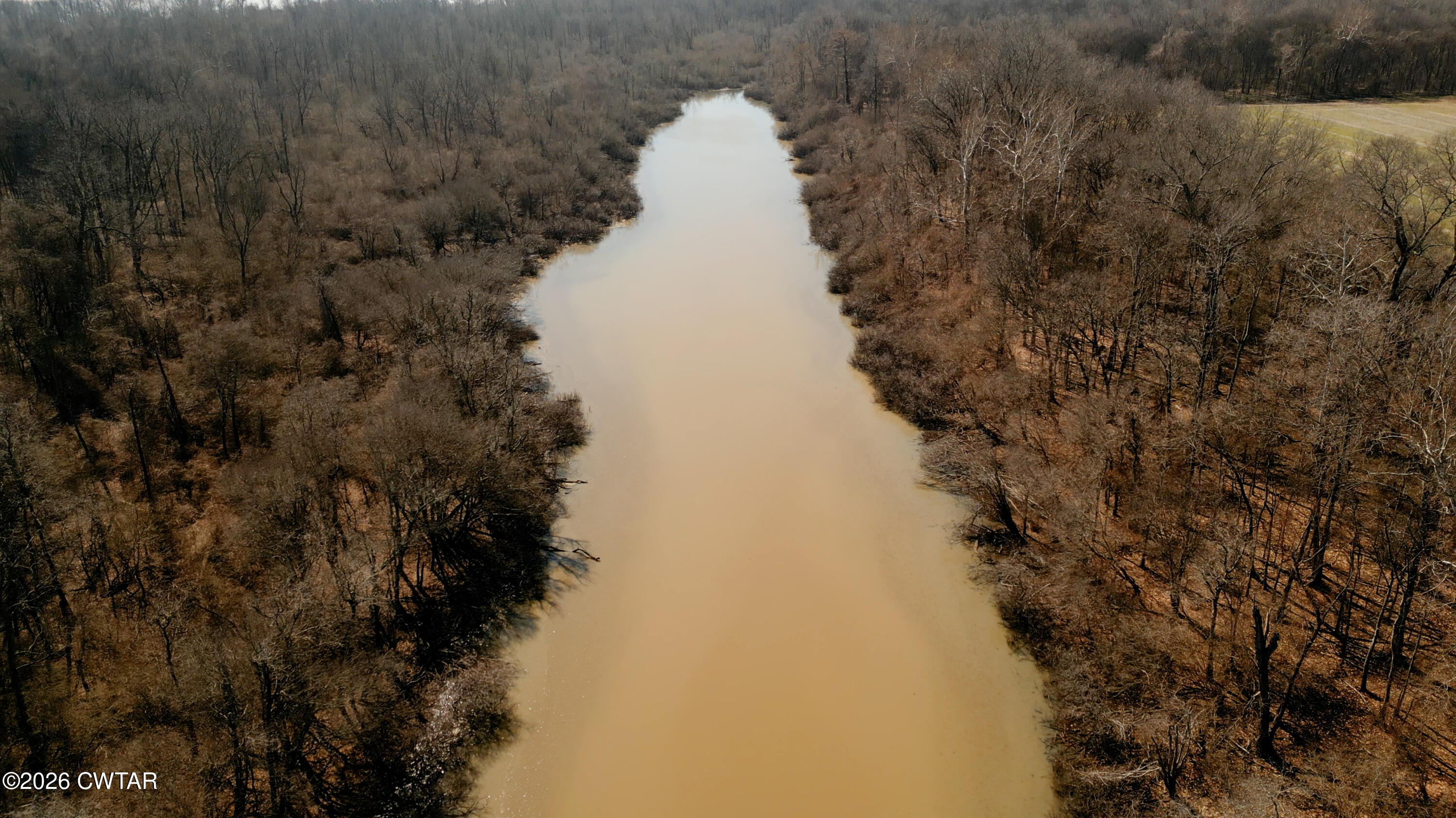 0 Island 26 Ms River Ripley, TN 38063 - Photo 10 of 29 a view of a dry yard with trees