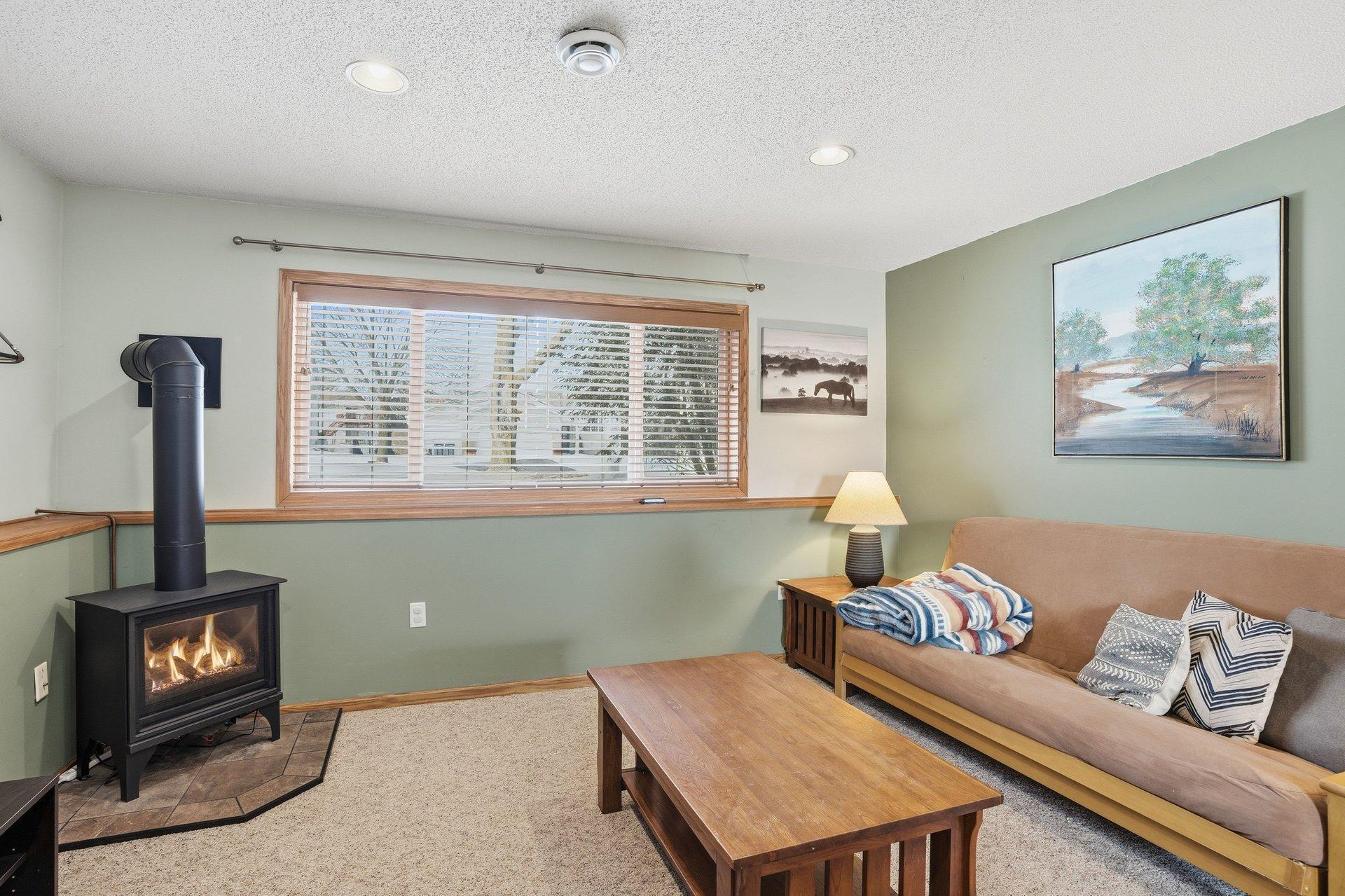 1074 Meadow Street Cologne, MN 55322 - Photo 24 of 37